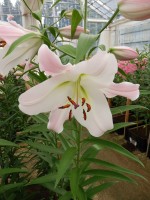 [4131 Jura No02.JPG]